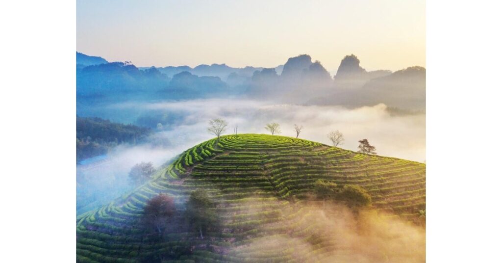 SE. China city leverages ecology friendly industries to boost global presence 5d09b64b19054cf2bdb0d15f9877602f.jpg