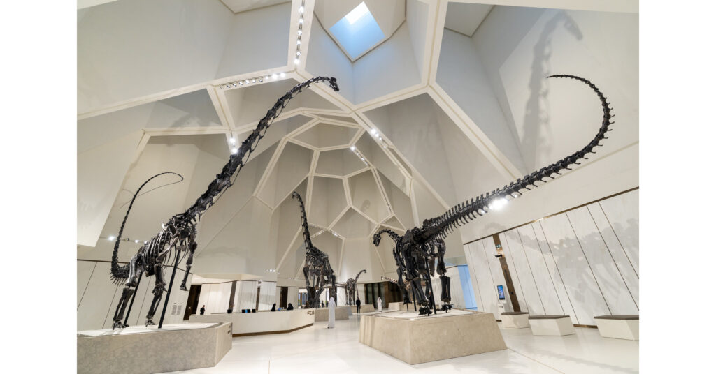 natural history museum abu dhabi 1.jpg