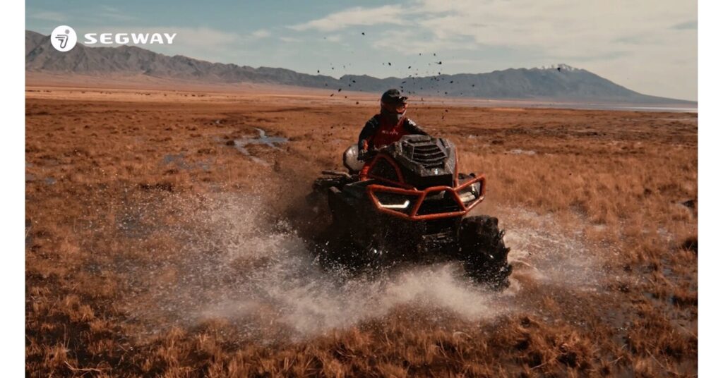 image 5053593 7626071.jpg