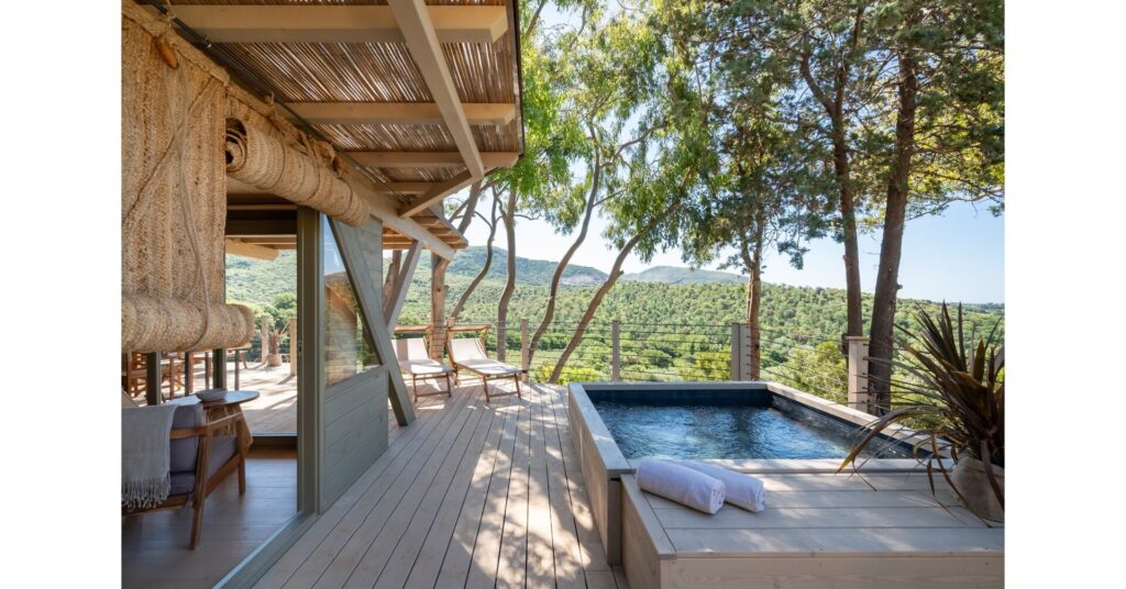 one of the nest in the tuscan bush.jpg