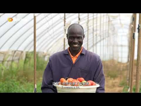 1765336279 hqdefault.jpg